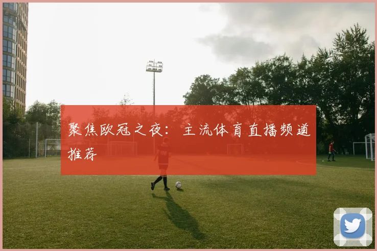 聚焦欧冠之夜:主流体育直播频道推荐