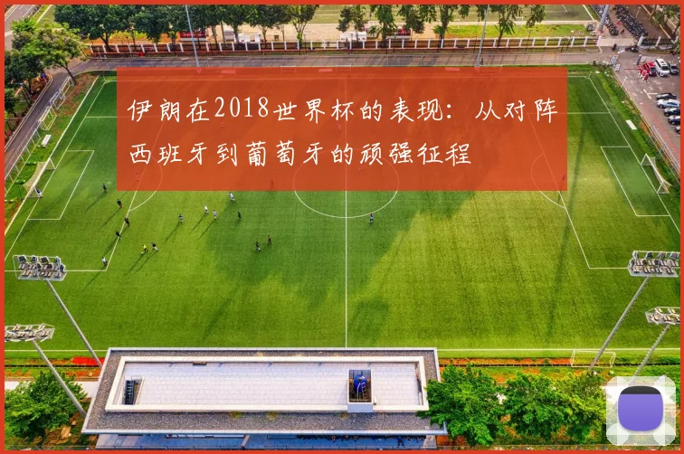 伊朗在2018世界杯的表现:从对阵西班牙到葡萄牙的顽强征程