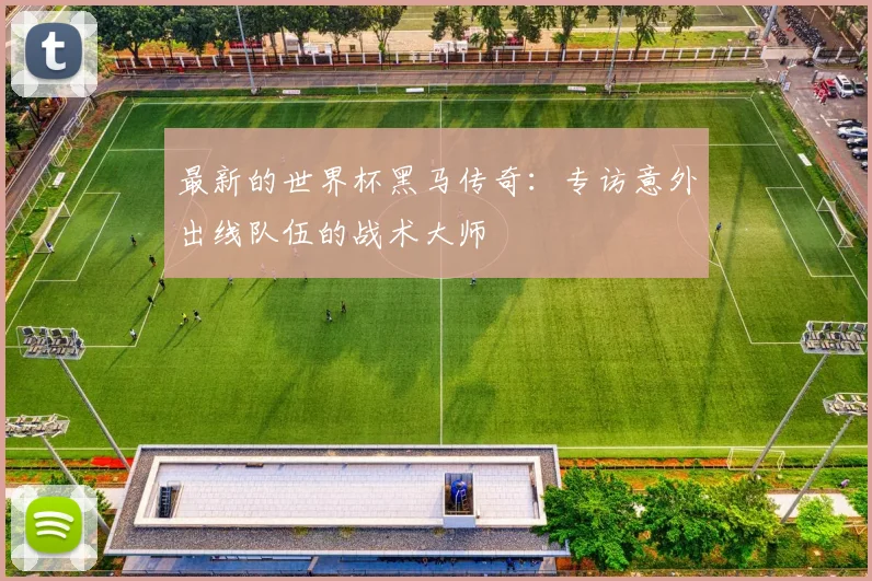 最新的世界杯黑马传奇：专访意外出线队伍的战术大师
