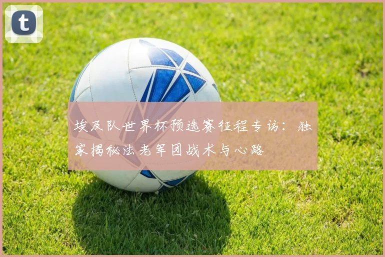 埃及队世界杯预选赛征程专访：独家揭秘法老军团战术与心路