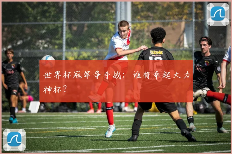 世界杯冠军争夺战:谁将举起大力神杯?