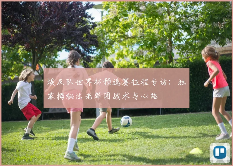 埃及队世界杯预选赛征程专访：独家揭秘法老军团战术与心路