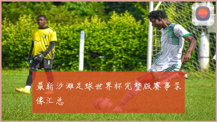 最新沙滩足球世界杯完整版赛事录像汇总